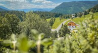 zur Vergrößerung klicken