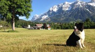zur Vergrößerung klicken