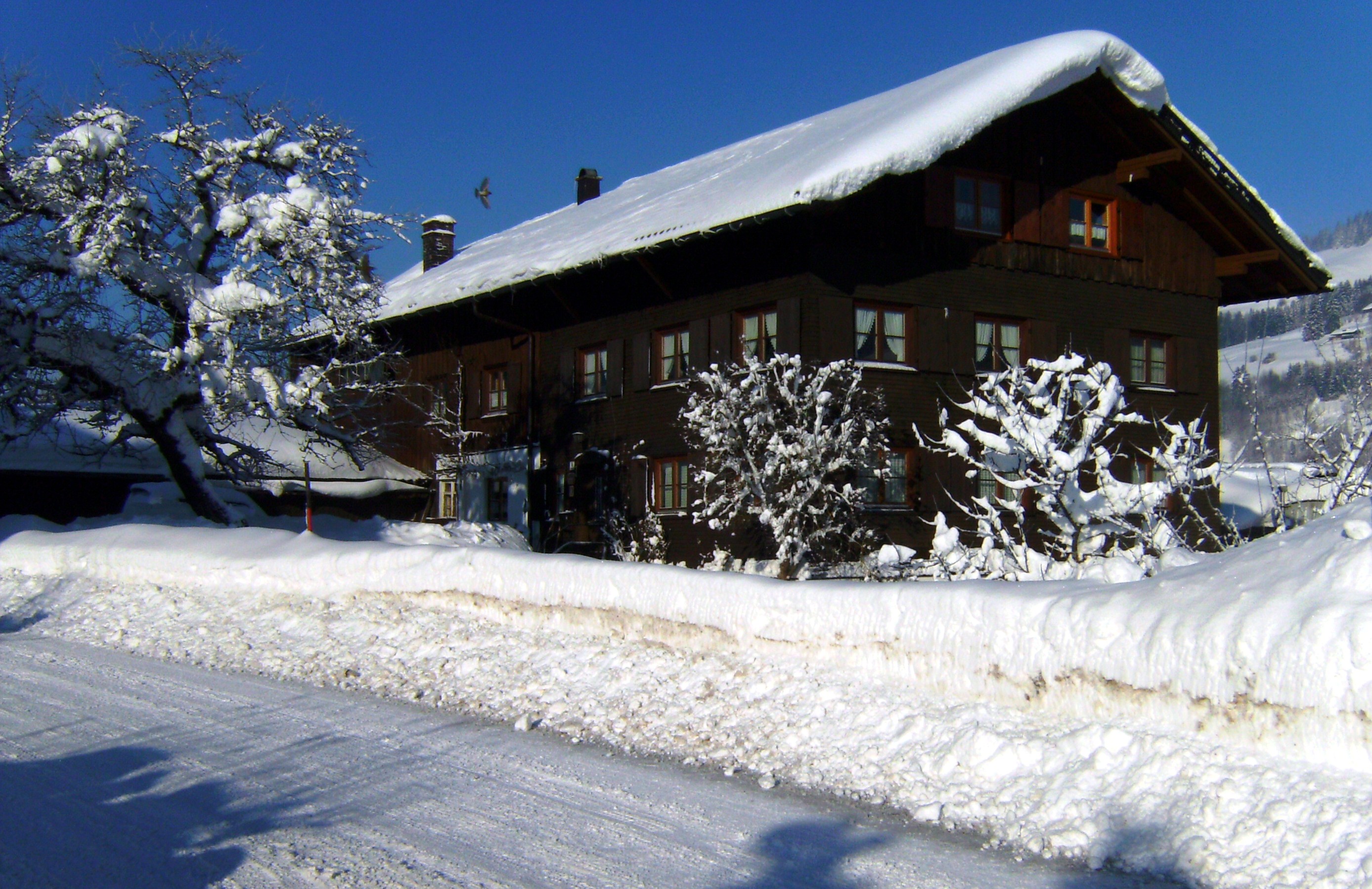 Ferienwohnung Hölzler